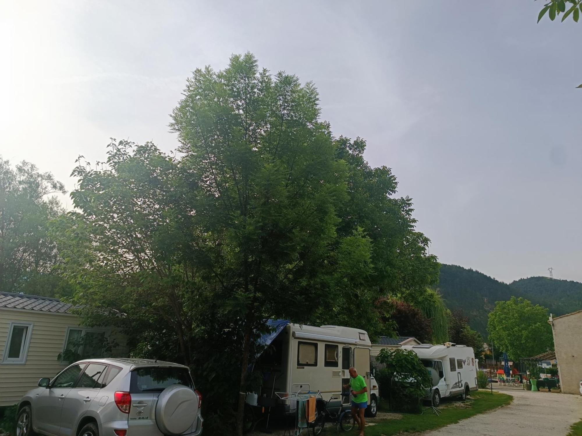 Camping Les Lavandes, Castellane Εξωτερικό φωτογραφία